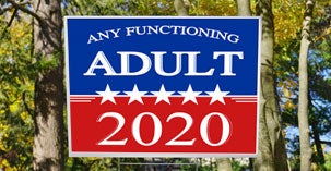 any functioning adult political yard sign