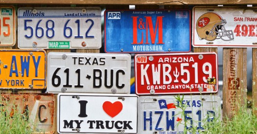 License Plate Art Featuring Many States