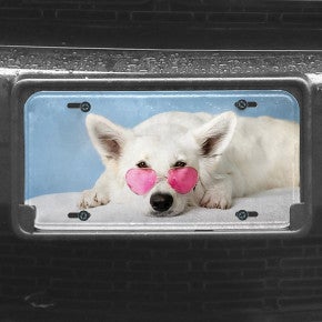 Upload Your Pet Photo Custom Front License Plate