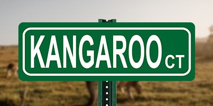 A green street sign with a white boarder and reads, KANGAROO CT. There are kangaroos in the background